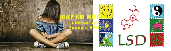 гидра Гусиноозёрск
