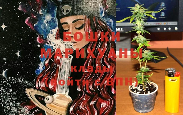 прущие крисы Заводоуковск