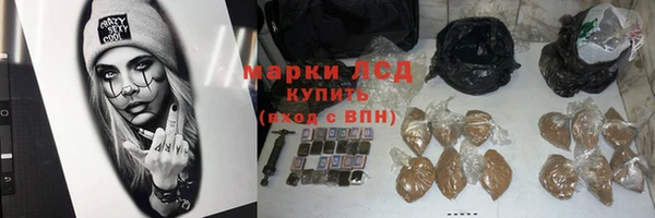 гидра Гусиноозёрск