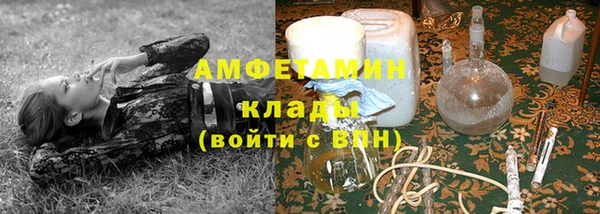 гидра Гусиноозёрск