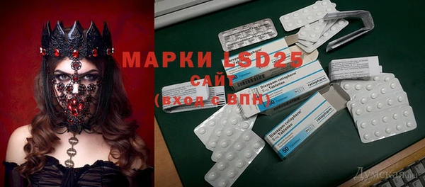 гидра Гусиноозёрск