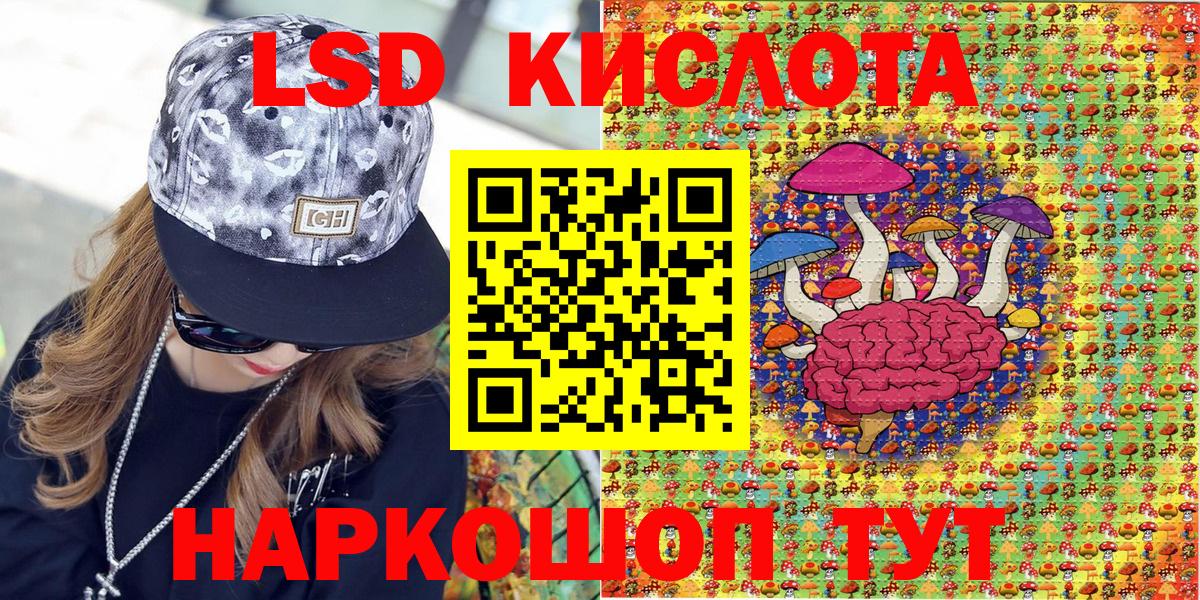 Псилоцибиновые грибы Георгиевск
