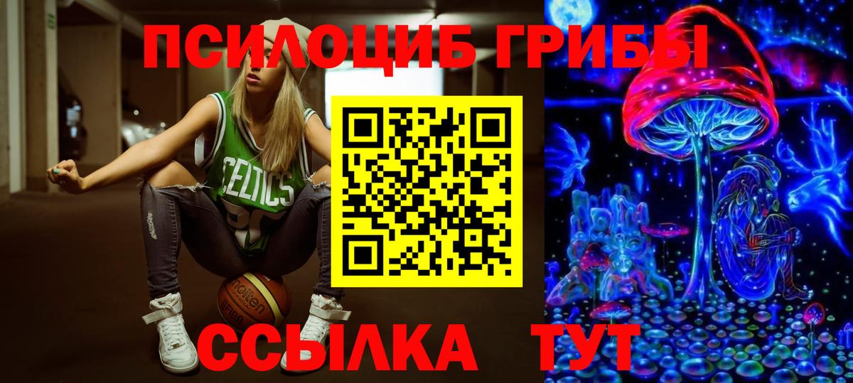 Галлюциногенные грибы Magic Shrooms Георгиевск