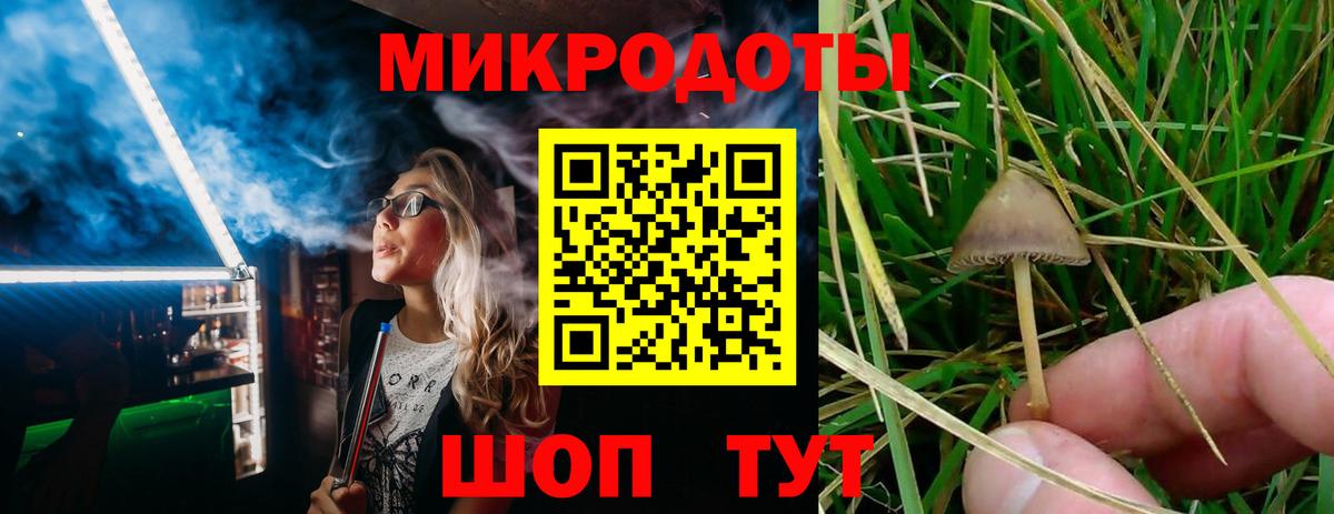 Георгиевск  Псилоцибиновые грибы прущие грибы  Вход с VPN 