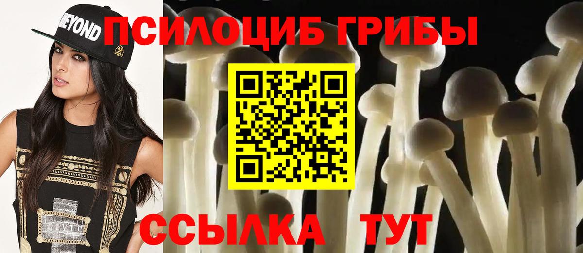 Галлюциногенные грибы мицелий Георгиевск