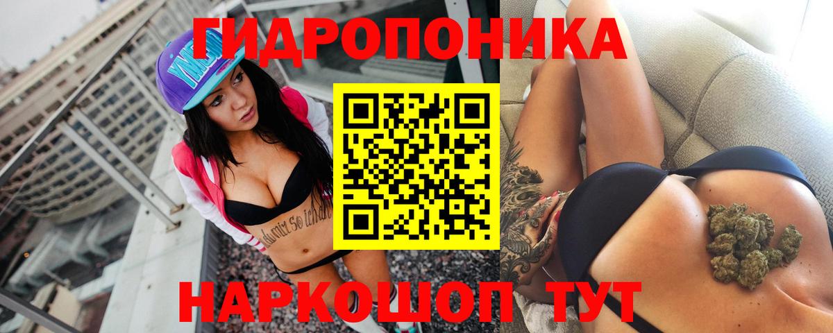 Конопля MAZAR  Бошки Шишки семена  Вход с VPN  Георгиевск  Бошки Шишки Amnesia 